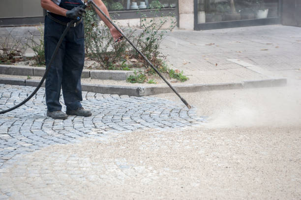 Best Pre-Holiday Cleaning  in Chester, MD